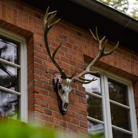 Wald- Und Seeidyll Im Historischen Forsthaus Neuruppin Dış mekan fotoğraf