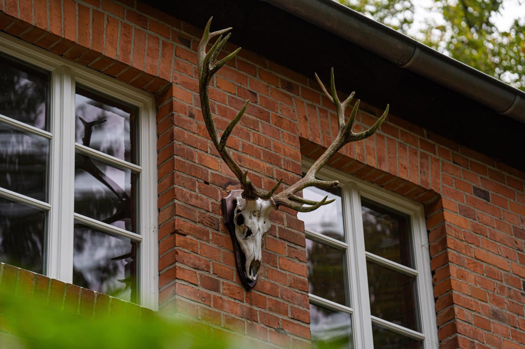 Wald- Und Seeidyll Im Historischen Forsthaus Neuruppin Dış mekan fotoğraf